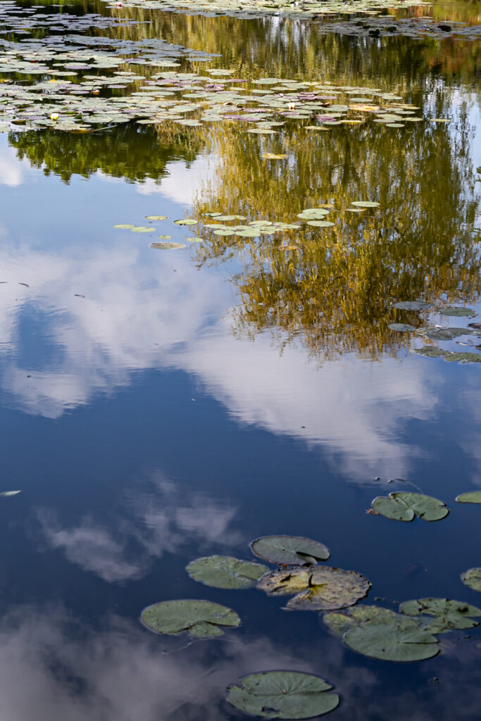 WONDERS OF OUR PLANET by Camille Massida Photography